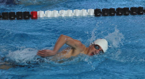Junior Leo Czerwinski competed in freestyle at the IHSA State meet. Czerwinski placed 2nd in the AWD 200-yard freestyle, 3rd in the AWD 100-yard freestyle and 4th in the AWD 50-yard breaststroke and the 100-yard breaststroke.
