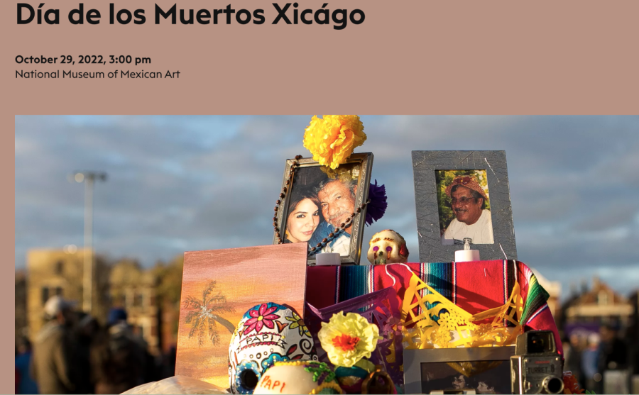 The National Museum of Mexican Art is in Chicago. Their Day of the Dead exhibit is just one of many special exhibits during the year. 