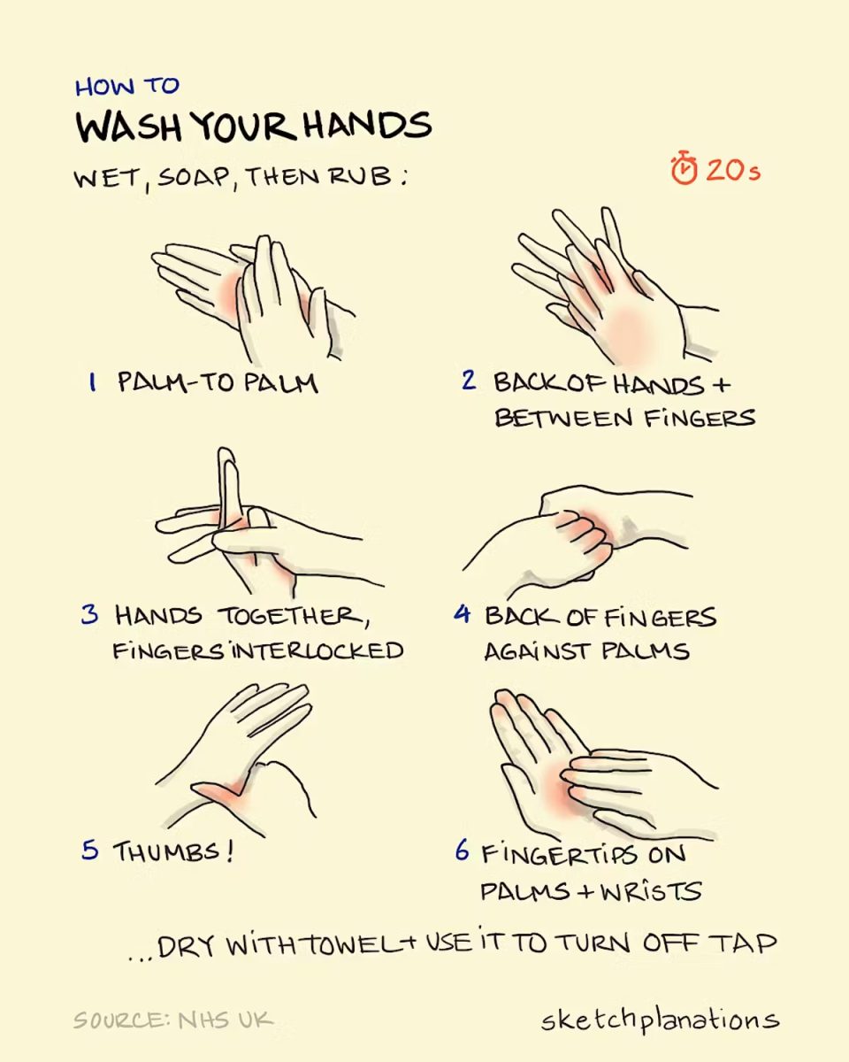 An infographic on how to wash your hands properly. Photo courtesy of Sketchplantations.