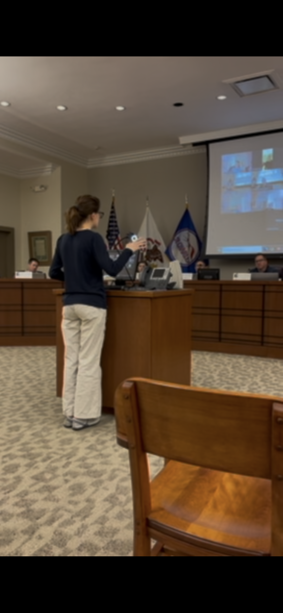 Senior Charlotte Schumaier speaks at city hall on March 24 amidst the IMEA controversy. Photo courtesy of Charlotte Schumaier.