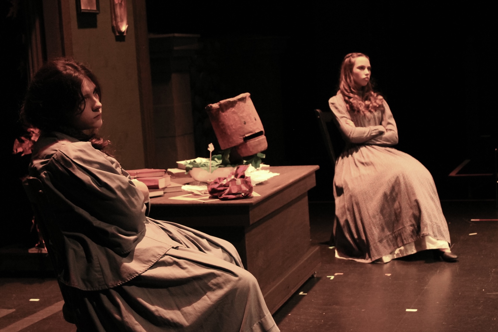 Emily Brontë Teenage Necromancer play review