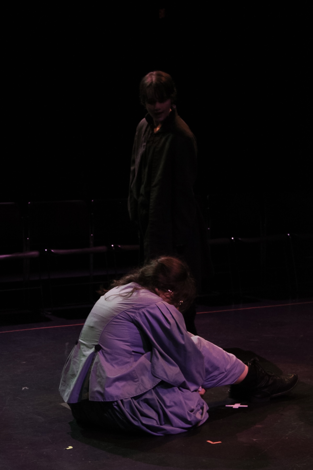 Emily Brontë Teenage Necromancer play review